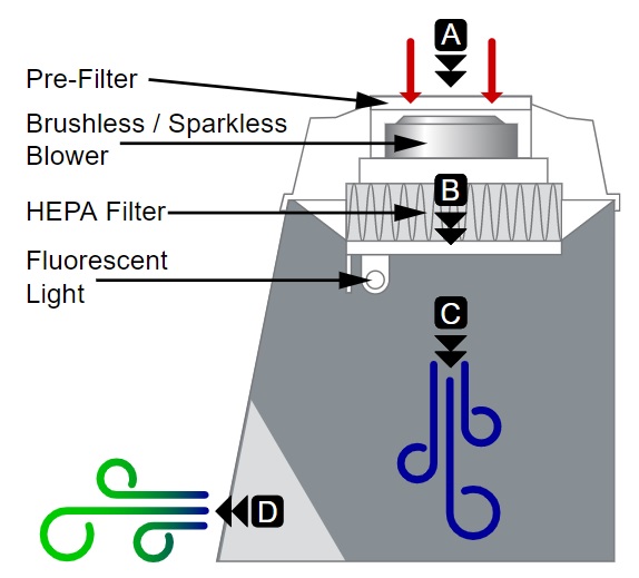 VLF Function