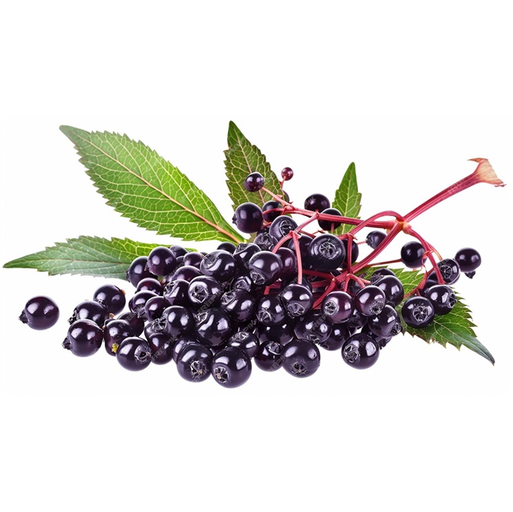 bunch-blackberries-with-leaf-it_1173099-15384