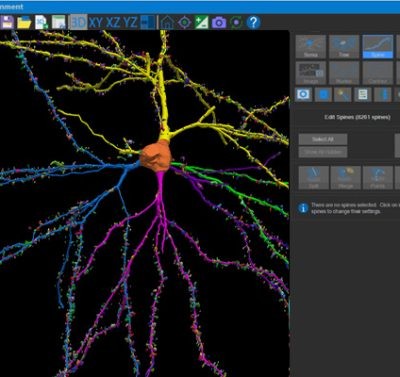 Phần mềm tự động truy dấu và tái tạo cấu trúc 3D neuron Neurolucida 360